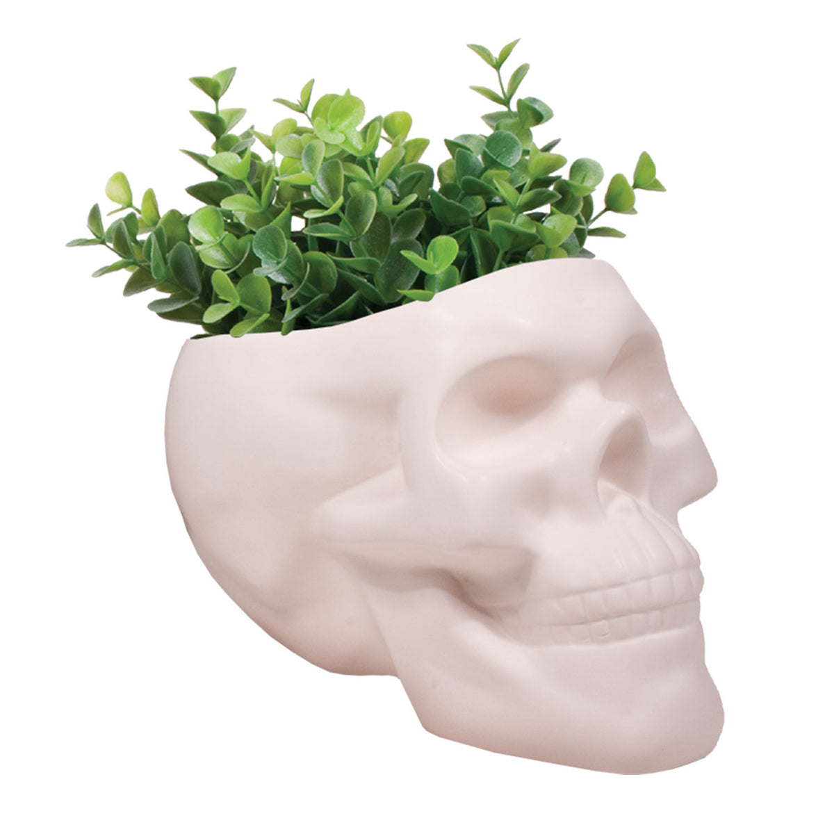 plastic skull planter Bone Skull Planter – Streamline Imagined Wholesale