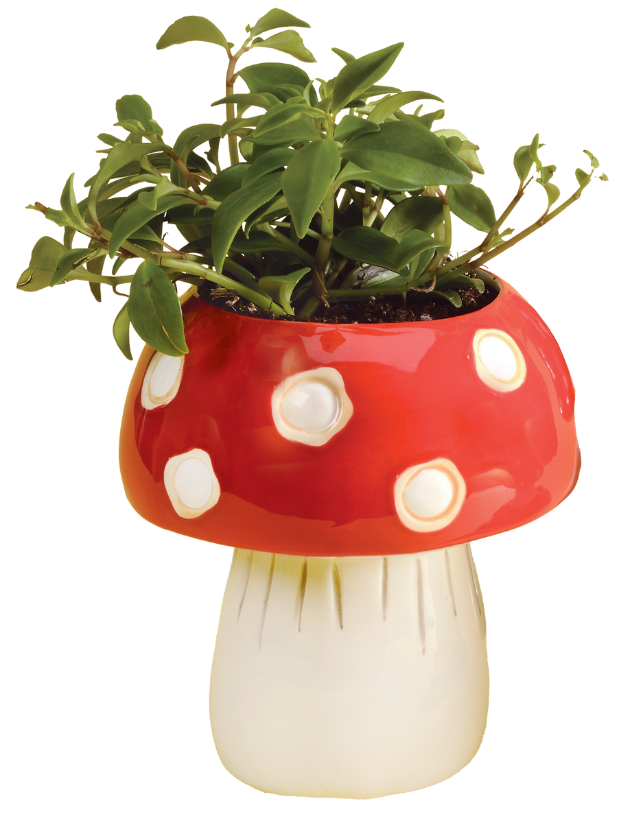 Mushroom Planter