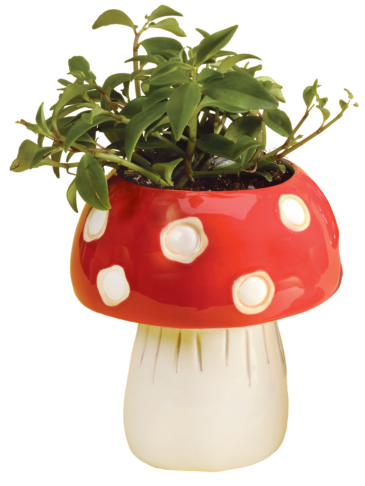 mushroom planter pot Mushroom Planter
