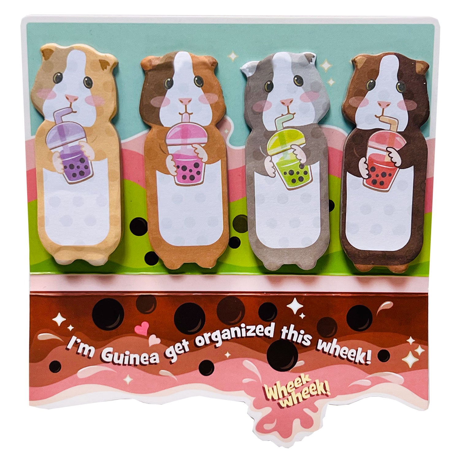 Guinea Pig Collection – Streamline Imagined Wholesale