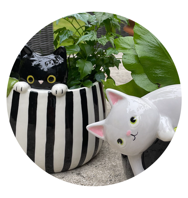 cat hanging planter Cats In Cups Mini Hanging Planters – Streamline Imagined Wholesale