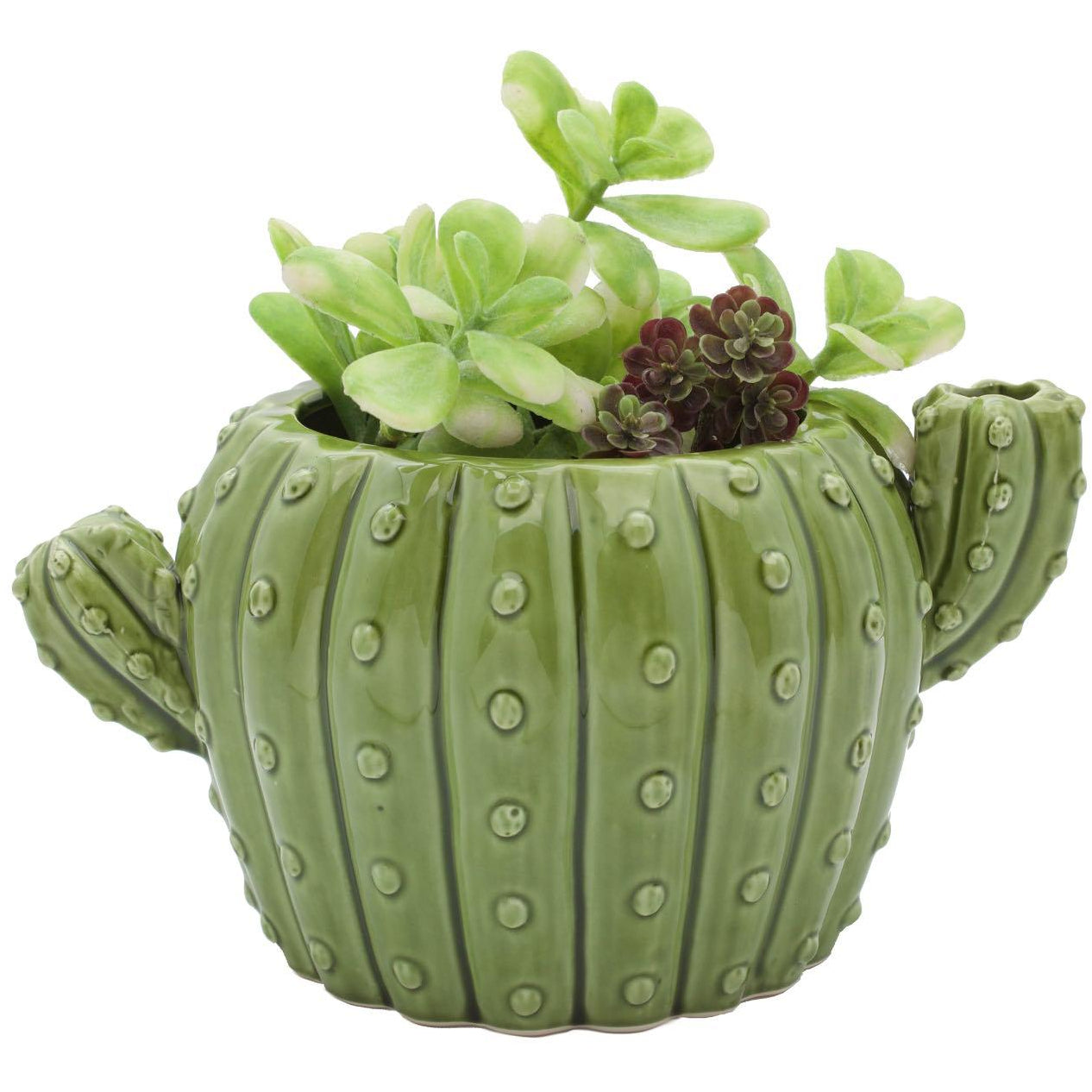 cactus pot planter Cactus Planter – Streamline Imagined Wholesale