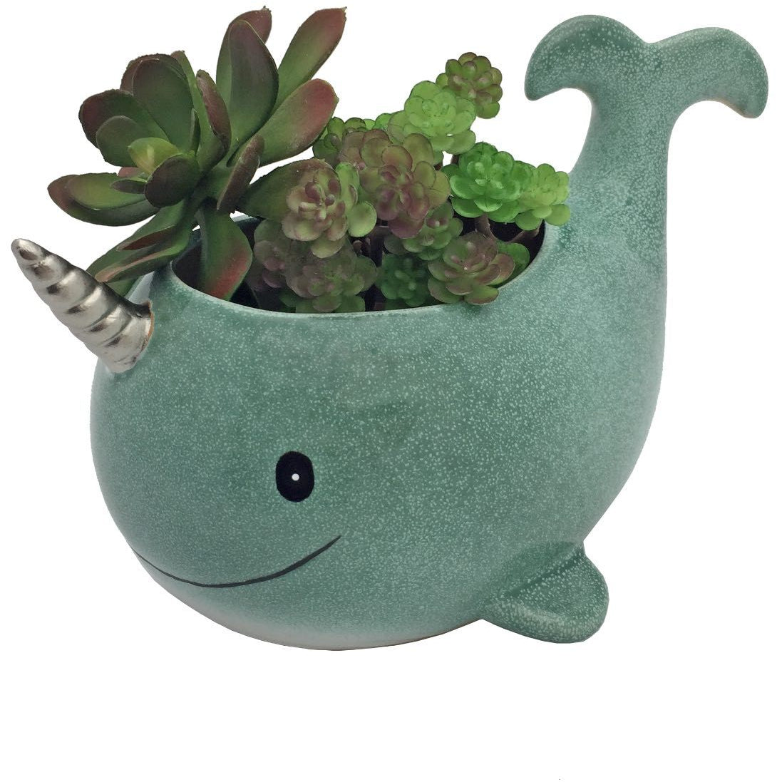 narwhal succulent planter Narwhal Planter – Streamline Imagined Wholesale